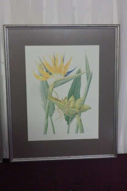 TWO BEAUTIFUL FRAMED "FAY ANDERSON" BOTANICAL FLOWERS WATER COLOUR PRINTS bid/print