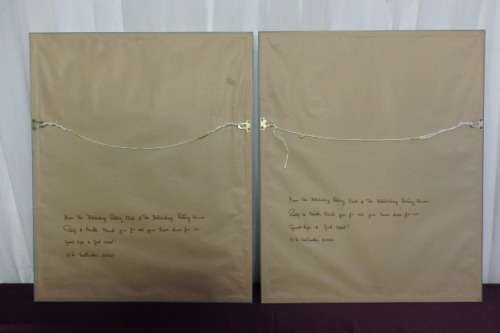 TWO BEAUTIFUL FRAMED "FAY ANDERSON" BOTANICAL FLOWERS WATER COLOUR PRINTS bid/print