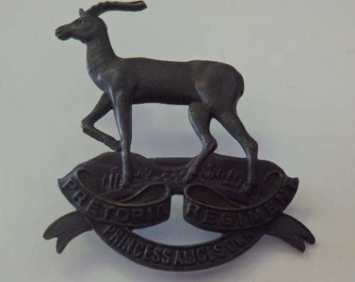 A SUPERB SOUTH AFRICAN 'PRETORIA REGIMENT' ''PRINCESS ALICE OWN'' BERET BADGE