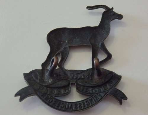 A SUPERB SOUTH AFRICAN 'PRETORIA REGIMENT' ''PRINCESS ALICE OWN'' BERET BADGE