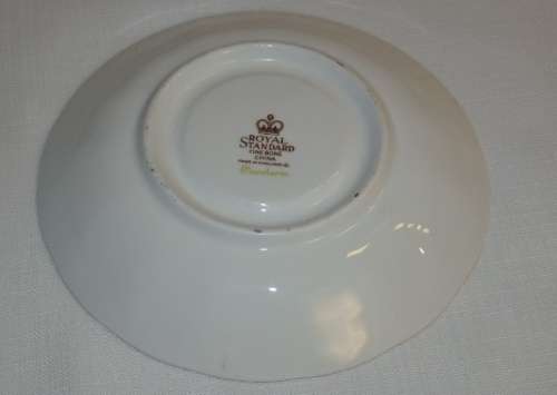 AN AWESOME ROYAL STANDARD "MANDARIN" PATTERN FINE BONE CHINA CUP AND SAUCER DUO