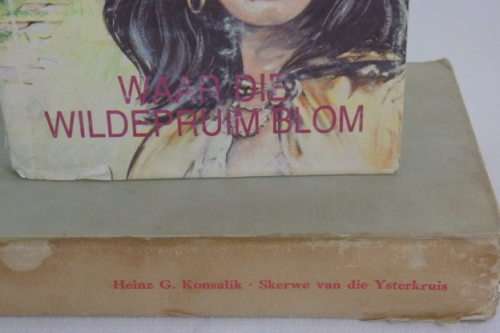 ***JOB LOT*** AN AMAZING COLLECTION OF 16x ASSORTED AFRIKAANS TITLE BOOKS INCLUDING SOME CLASSICS