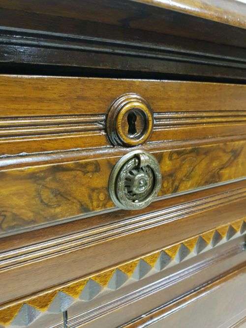 AN INCREDIBLE CARVED EDWARDIAN MAHOGANY 5-DRAWER CHEST OF DRAWERS WITH WALNUT PANELLING