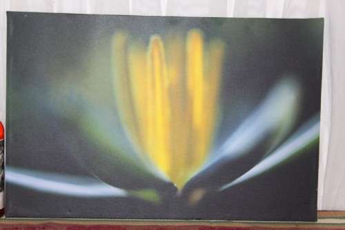 AN AWESOME BOX FRAMED "ABSTRACT" PHOTOGRAPH PRINT ON CANVAS IS IN AMAZING CONDITION