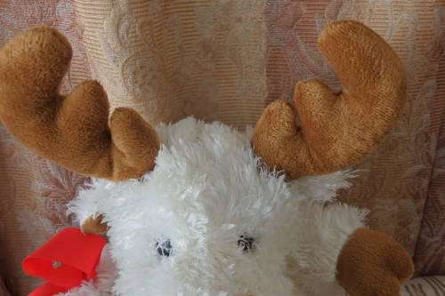 A GORGEOUS 'RUDOLF THE RED NOSE REINDEER' SOFT TOY IN EXCELLENT CONDITION! PERFECT FOR XMAS!!!