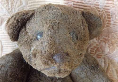 A RARE ANTIQUE "FULLY JOINTED" CINNAMON TEDDY BEAR IN ITS ORIGINAL BOX = WOW!!!!