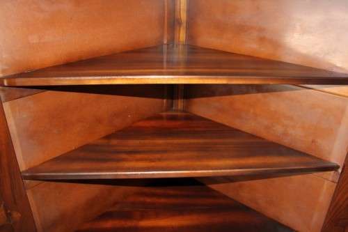 AN INCREDIBLE (LARGER) SOLID IMBUIA DOUBLE DOOR BALL AND CLAW CORNER CABINET IN SUPERB CONDITION