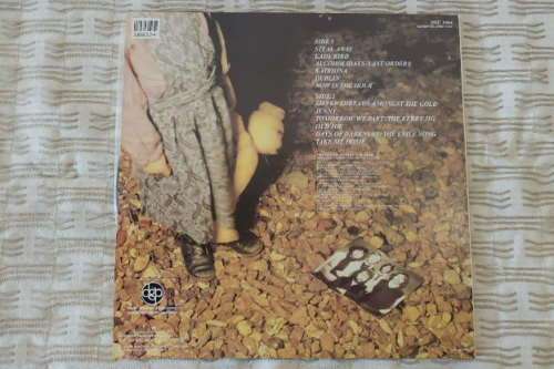 An awesome The Fureys & Davey Arthur "The House of the Rising Sun" (1983) vinyl LP