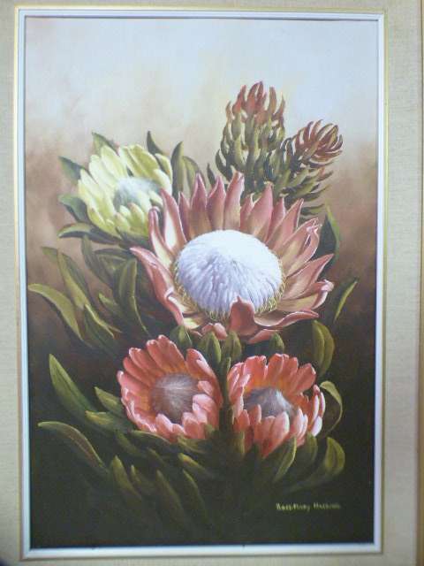 A superb (large) signed and framed oil painting of King Proteas by renowned artist Rose-Mary Hacking