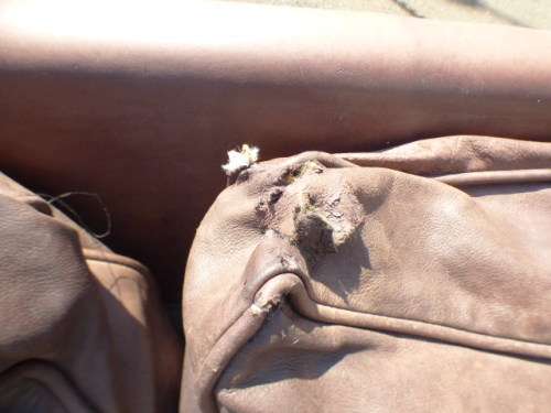 A stunning x-large modern styled brown genuine leather couch in great condition. RS17