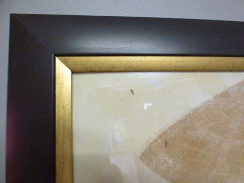 A gorgeous print framed behind glass signed Dothy. Stunning art!!   RS17Sale