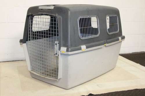 A large pet kennel/ travel case with two storage compartments on top