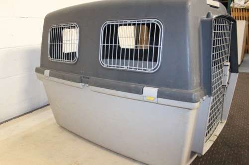 A large pet kennel/ travel case with two storage compartments on top