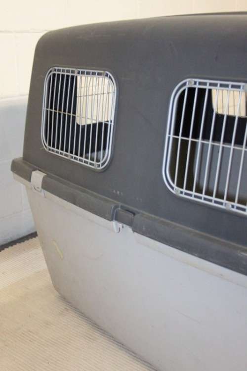 A large pet kennel/ travel case with two storage compartments on top