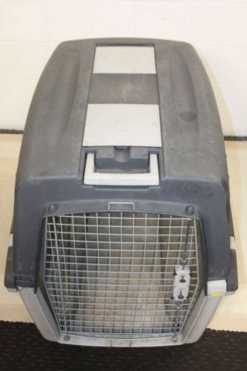 A large pet kennel/ travel case with two storage compartments on top