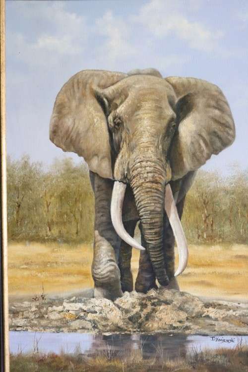 A wonderful large framed and signed oil on board painting of a magnificent elephant - stunning art!
