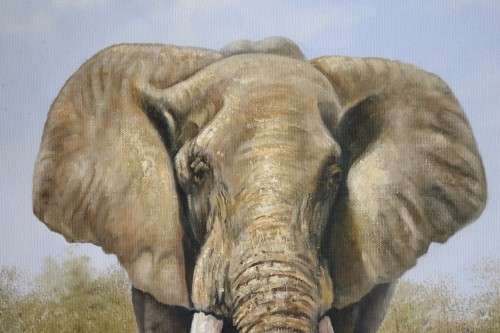 A wonderful large framed and signed oil on board painting of a magnificent elephant - stunning art!