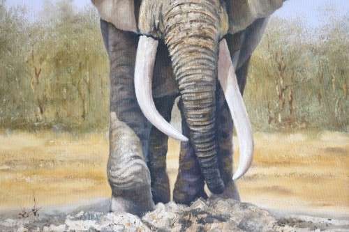 A wonderful large framed and signed oil on board painting of a magnificent elephant - stunning art!