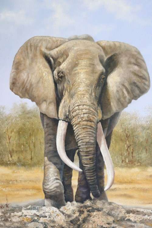 A wonderful large framed and signed oil on board painting of a magnificent elephant - stunning art!