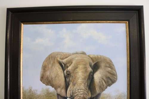 A wonderful large framed and signed oil on board painting of a magnificent elephant - stunning art!