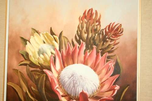 A superb (large) signed and framed oil painting of King Proteas by renowned artist Rose-Mary Hacking