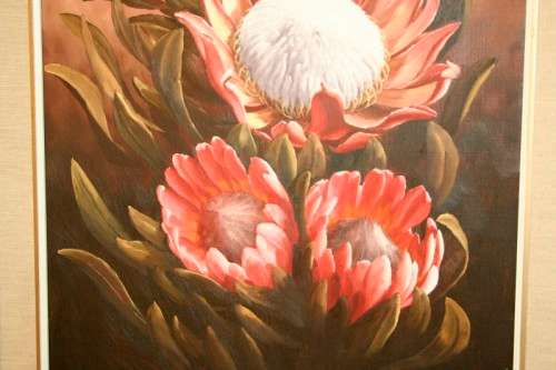 A superb (large) signed and framed oil painting of King Proteas by renowned artist Rose-Mary Hacking