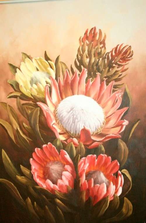 A superb (large) signed and framed oil painting of King Proteas by renowned artist Rose-Mary Hacking