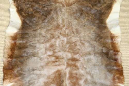 **RS17** An amazing (1,3m x 1m) genuine Blesbok skin/ hide mat in great condition
