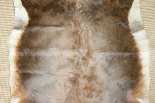 **RS17** An awesome (1,3m x 0,9m) genuine Blesbok skin/ hide mat in great condition