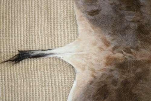 **RS17** An awesome (1,3m x 0,9m) genuine Blesbok skin/ hide mat in great condition