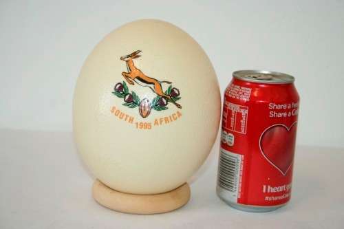 An awesome "1995 Rugby World Cup" commemorative ostrich egg on a wooden ring display stand