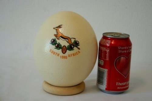 An awesome "1995 Rugby World Cup" commemorative ostrich egg on a wooden ring display stand
