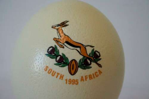 An awesome "1995 Rugby World Cup" commemorative ostrich egg on a wooden ring display stand
