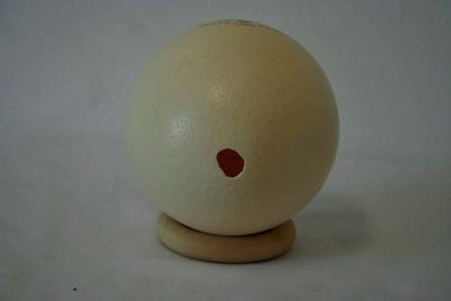 An awesome "1995 Rugby World Cup" commemorative ostrich egg on a wooden ring display stand