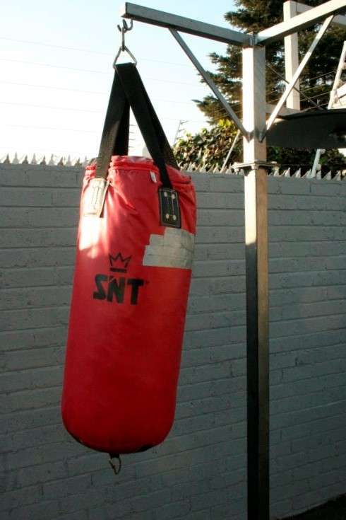 A well made steel boxing stand with a "SNT" punching bag and an "Everlast" speed bag = for home use!