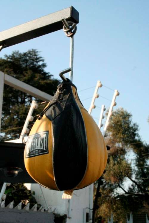 A well made steel boxing stand with a "SNT" punching bag and an "Everlast" speed bag = for home use!
