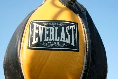 A well made steel boxing stand with a "SNT" punching bag and an "Everlast" speed bag = for home use!