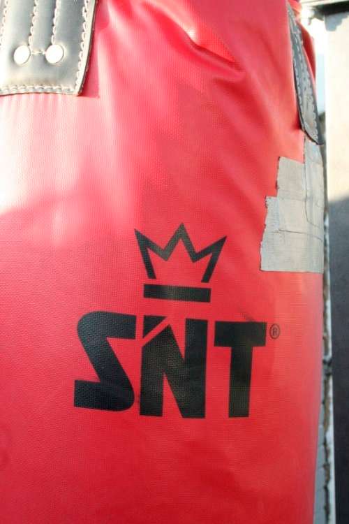 A well made steel boxing stand with a "SNT" punching bag and an "Everlast" speed bag = for home use!