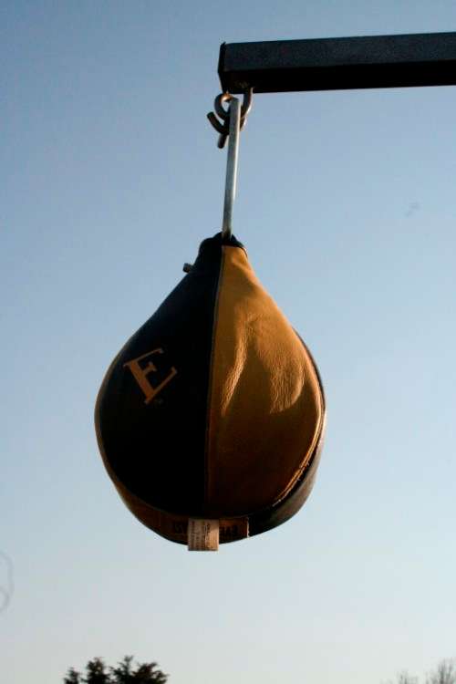 A well made steel boxing stand with a "SNT" punching bag and an "Everlast" speed bag = for home use!