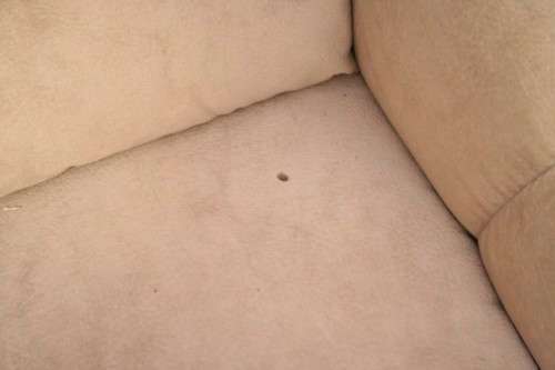 A fantastic, large comfortable four piece Beige lounge suite, perfect in informal lounges!