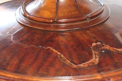 An amazing antique William IV (c1830) large Rosewood centre pedestal table on brass castors