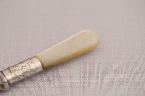 An amazing & rare antique British made EPNS silver plated "cream" spoon w/ a Mother-of-pearl handle