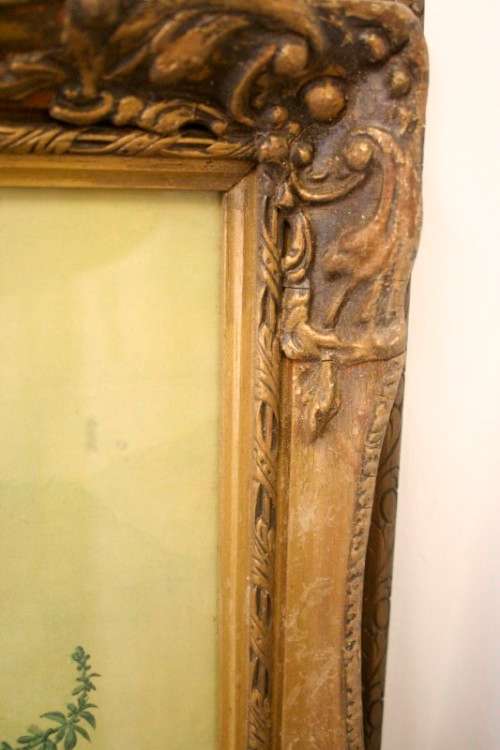 A fabulous antique moulded picture frame with a gorgeous flower print behind glass..