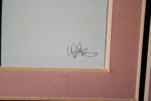 **RS17** 3 fantastic vintage prints framed behind glass of Lilies. Stunning in all areas. Bid/print