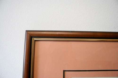 **RS17** 3 fantastic vintage prints framed behind glass of Lilies. Stunning in all areas. Bid/print