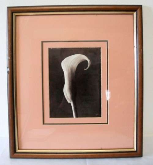 **RS17** 3 fantastic vintage prints framed behind glass of Lilies. Stunning in all areas. Bid/print