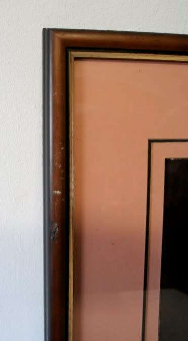 **RS17** 3 fantastic vintage prints framed behind glass of Lilies. Stunning in all areas. Bid/print