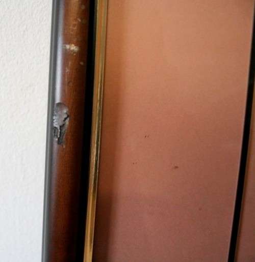 **RS17** 3 fantastic vintage prints framed behind glass of Lilies. Stunning in all areas. Bid/print