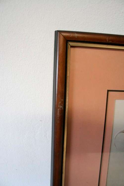 **RS17** 3 fantastic vintage prints framed behind glass of Lilies. Stunning in all areas. Bid/print