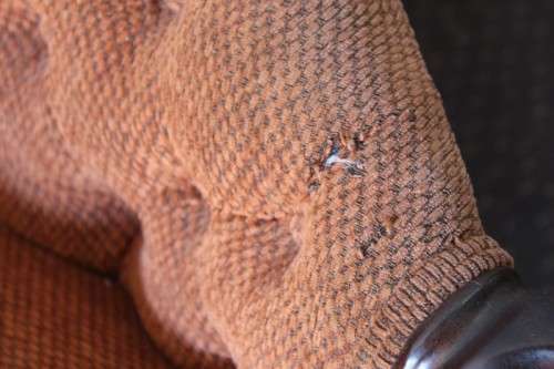 A beautiful antique Victorian Walnut deep-button camel-back sofa with stunning hand-carved detailing